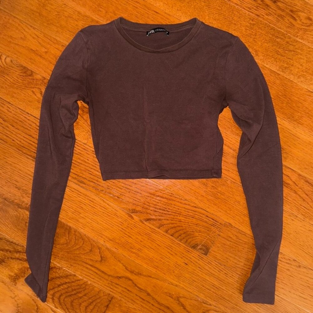 Zara Brown Long Sleeve Crop Top